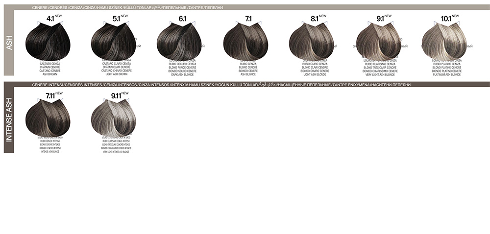 02-B-LIFE-COLOR_colorChart
