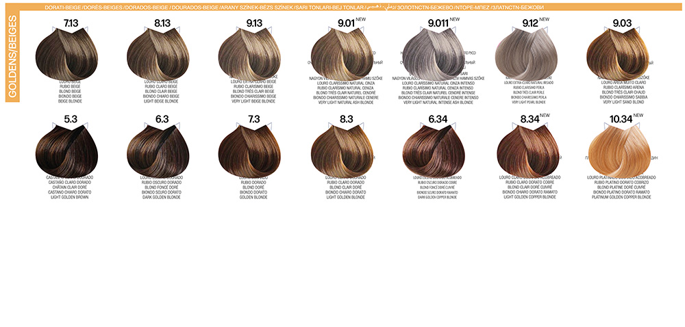 03-B-LIFE-COLOR_colorChart