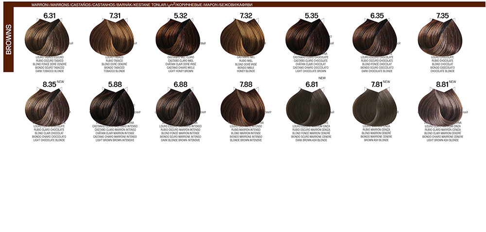 04-B-LIFE-COLOR_colorChart